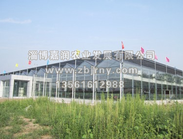 溫室大(dà)棚建設