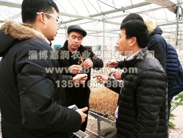 張總與哈薩克斯坦技(jì)術(shù)人(rén)員(yuán)交流