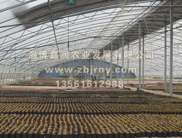 多(duō)肉養殖2代棚