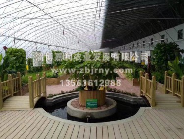 生(shēng)态餐廳