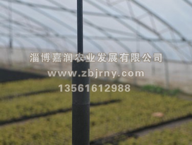 多(duō)肉2代棚 微(wēi)噴