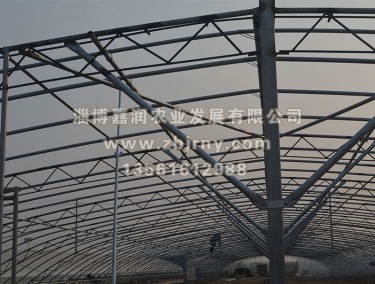 多(duō)肉植物(wù)在建骨架