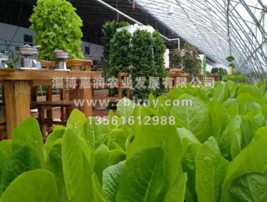 生(shēng)态餐廳