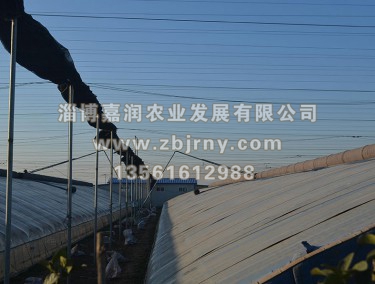 多(duō)肉2代棚外(wài)遮陽