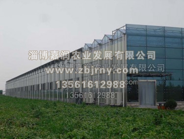 連棟溫室工(gōng)程