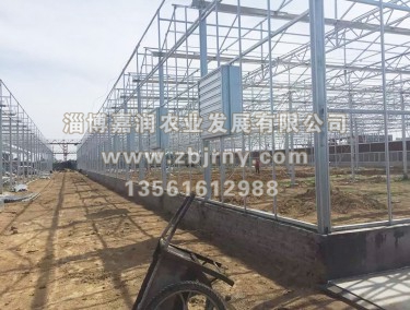 溫室大(dà)棚建設