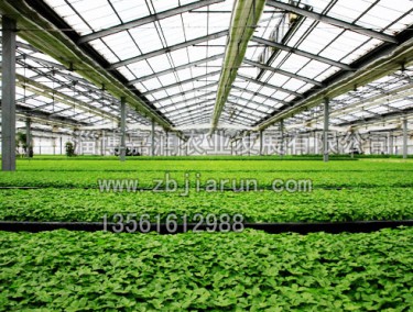 智能(néng)溫室建設