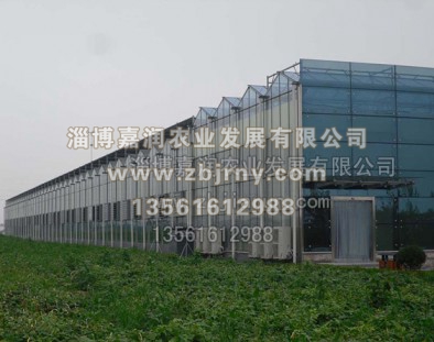 連棟溫室工(gōng)程