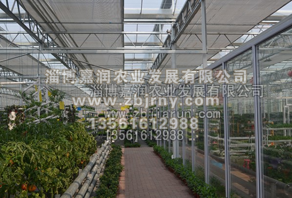 連棟溫室工(gōng)程