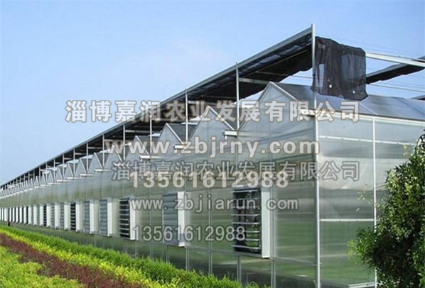 智能(néng)溫室建設