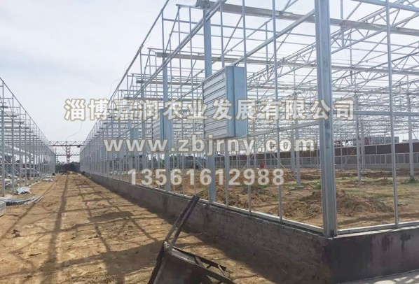 溫室大(dà)棚建設