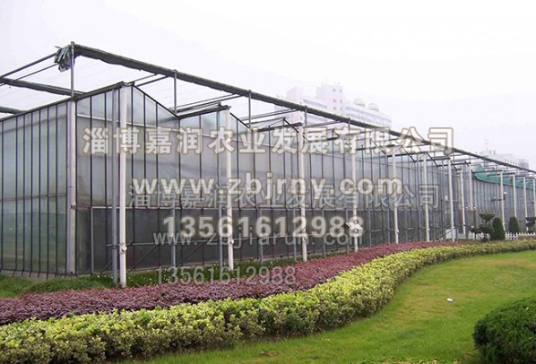智能(néng)溫室建設