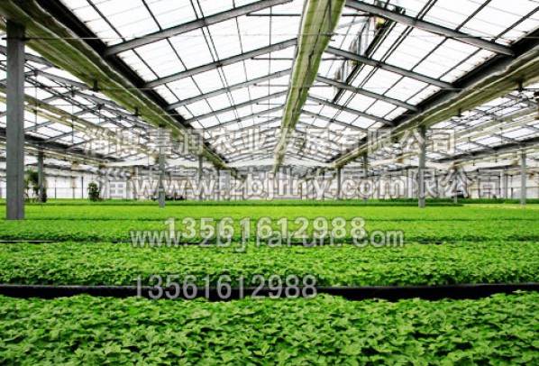 智能(néng)溫室建設